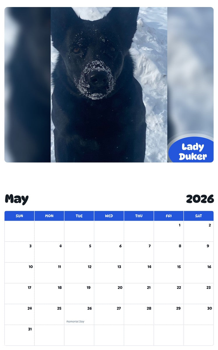 2026 - 2027 Lady Duker - Pawidols Pet Calendar