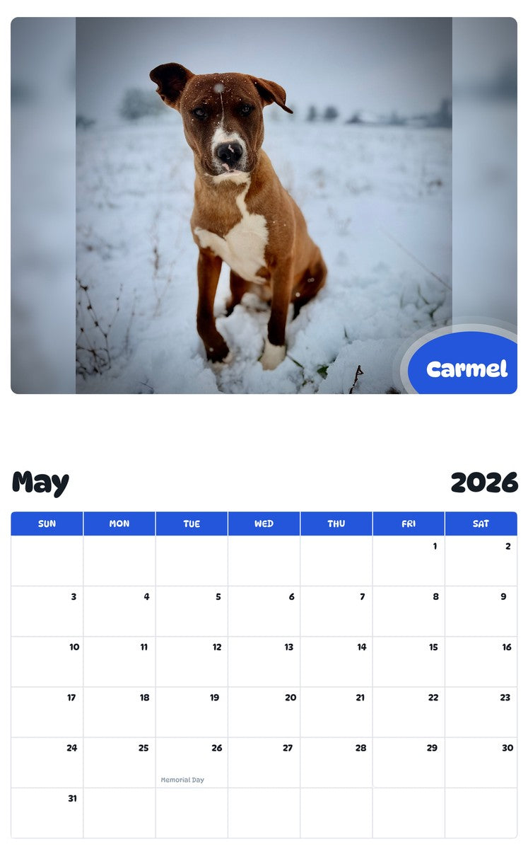 2026 - 2027 Carmel - Pawidols Pet Calendar