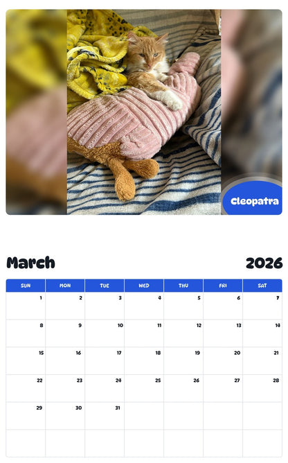 November 2025 - October 2026 Cleopatra - Pawidols Pet Calendar