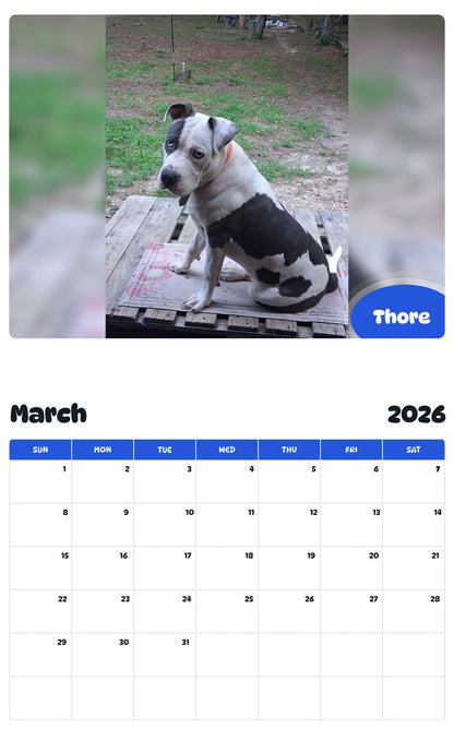 November 2025 - October 2026 Thore - Pawidols Pet Calendar