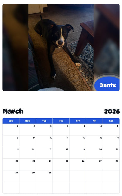 November 2025 - October 2026 Dante - Pawidols Pet Calendar