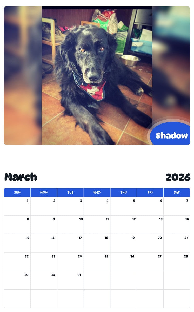 November 2025 - October 2026 Shadow - Pawidols Pet Calendar