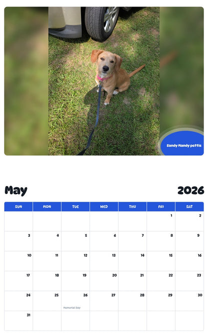 2026 - 2027 Sandy Mandy pettis - Pawidols Pet Calendar