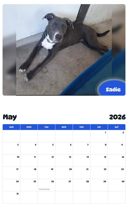 2026 - 2027 Sadie - Pawidols Pet Calendar