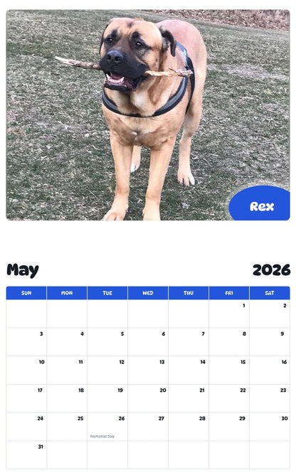 2026 - 2027 Rex - Pawidols Pet Calendar