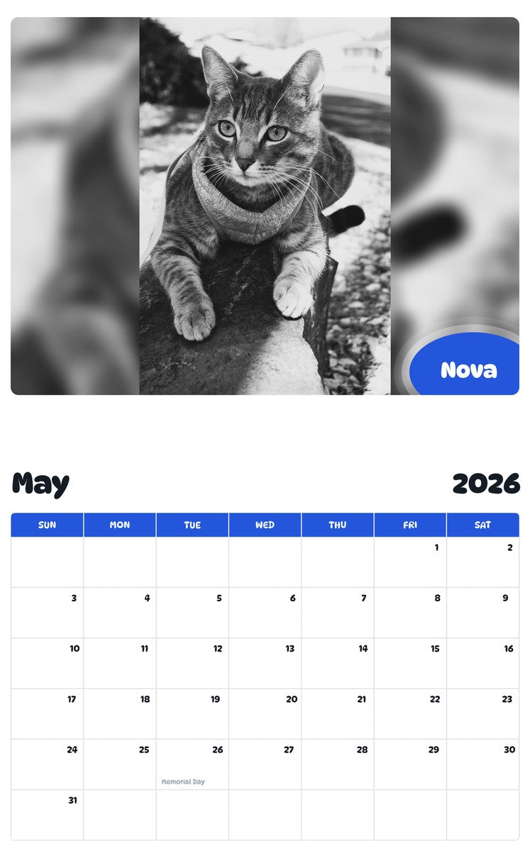 2026 - 2027 Nova - Pawidols Pet Calendar