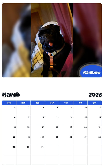 November 2025 - October 2026 Rainbow - Pawidols Pet Calendar
