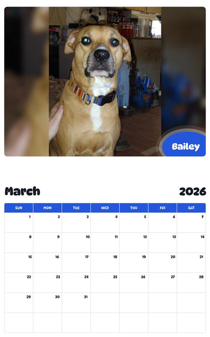 November 2025 - October 2026 Bailey - Pawidols Pet Calendar