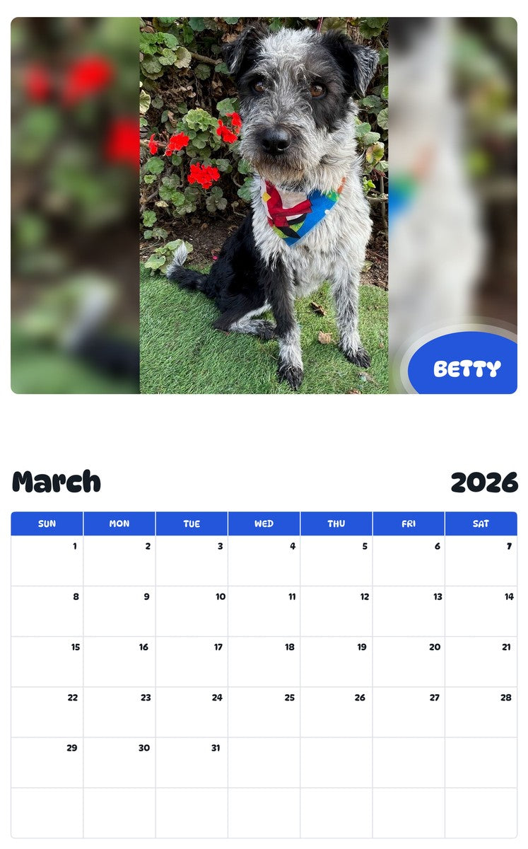 November 2025 - October 2026 BETTY - Pawidols Pet Calendar