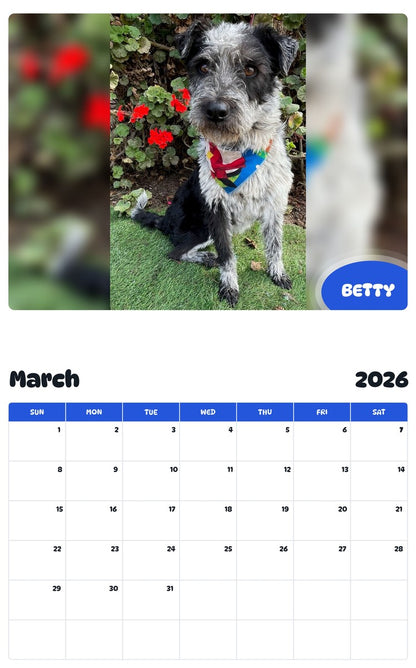 November 2025 - October 2026 BETTY - Pawidols Pet Calendar
