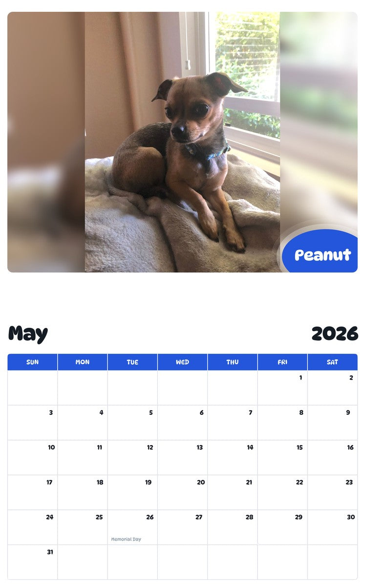 2026 - 2027 Peanut - Pawidols Pet Calendar
