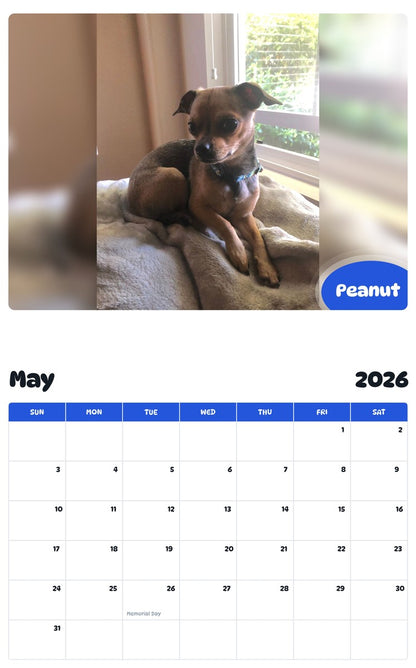 2026 - 2027 Peanut - Pawidols Pet Calendar
