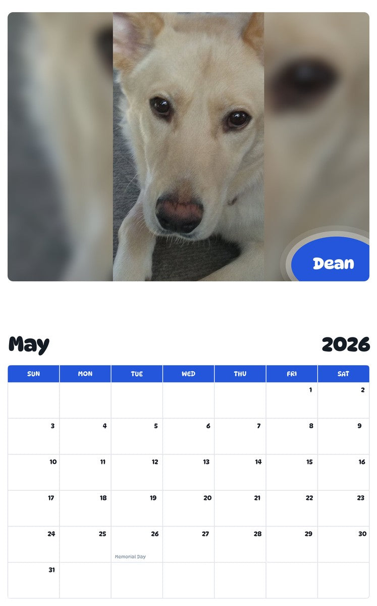 2026 - 2027 Dean - Pawidols Pet Calendar