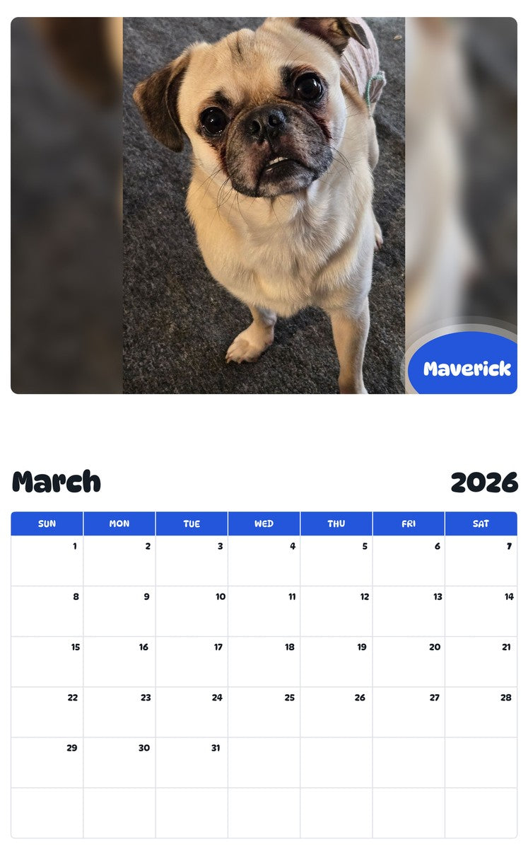 November 2025 - October 2026 Maverick - Pawidols Pet Calendar