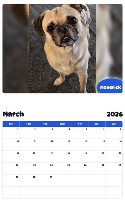 November 2025 - October 2026 Maverick - Pawidols Pet Calendar