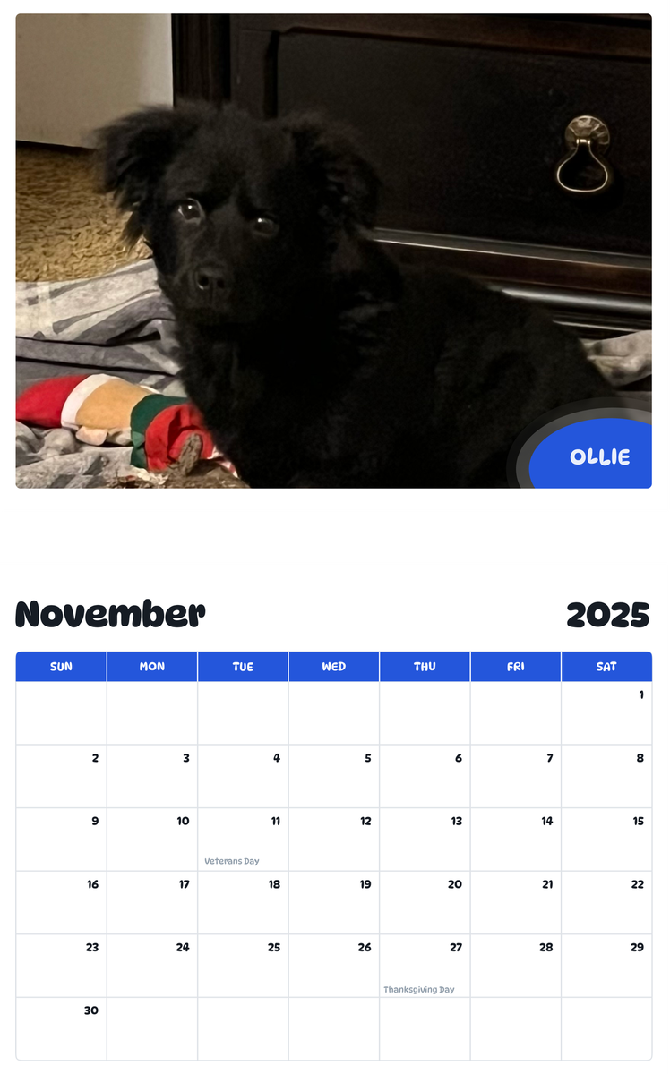 July 2025 - June 2026 Ollie - Pawidols Pet Calendar