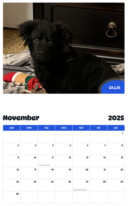 July 2025 - June 2026 Ollie - Pawidols Pet Calendar