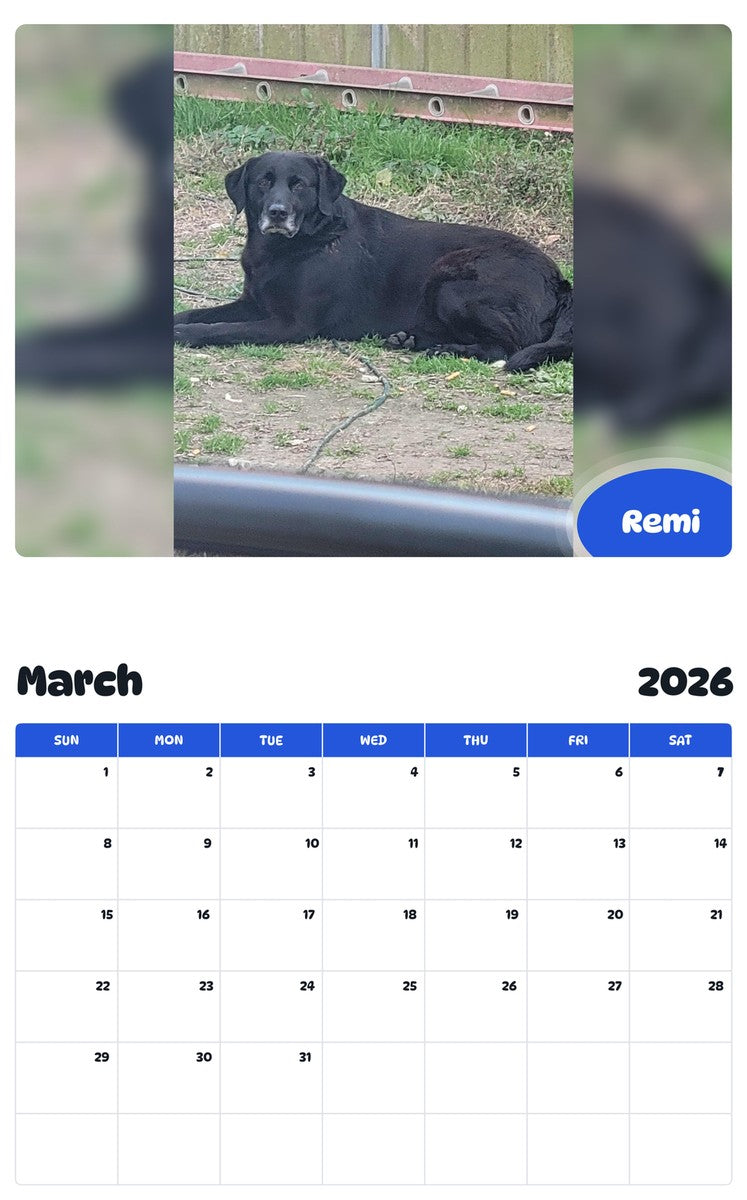 November 2025 - October 2026 Remi - Pawidols Pet Calendar
