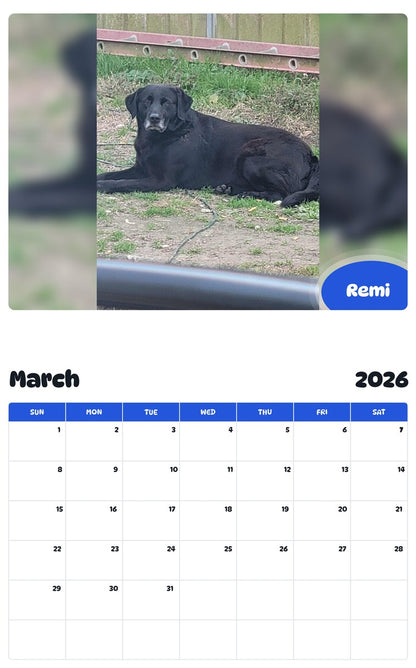 November 2025 - October 2026 Remi - Pawidols Pet Calendar