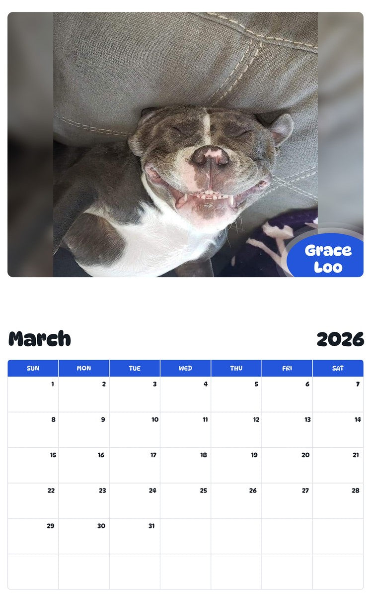 November 2025 - October 2026 Grace Loo - Pawidols Pet Calendar
