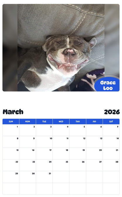 November 2025 - October 2026 Grace Loo - Pawidols Pet Calendar