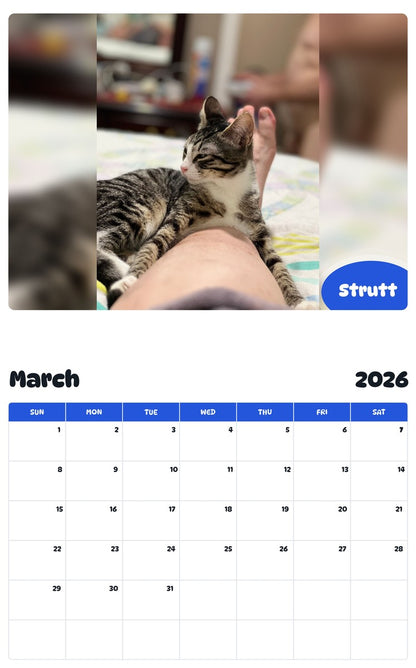 November 2025 - October 2026 Strutt - Pawidols Pet Calendar