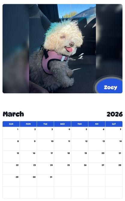 November 2025 - October 2026 Zoey - Pawidols Pet Calendar