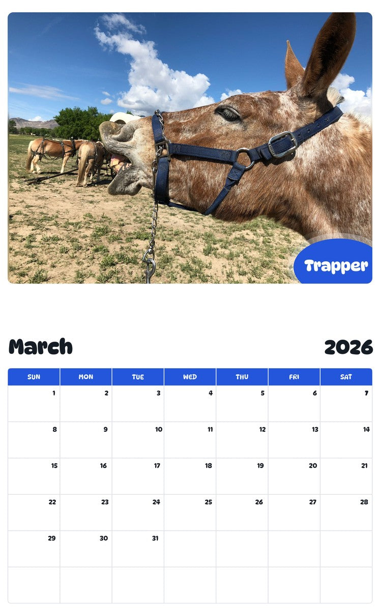 November 2025 - October 2026 Trapper - Pawidols Pet Calendar