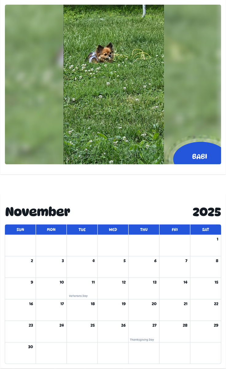 July 2025 - June 2026 Babi - Pawidols Pet Calendar