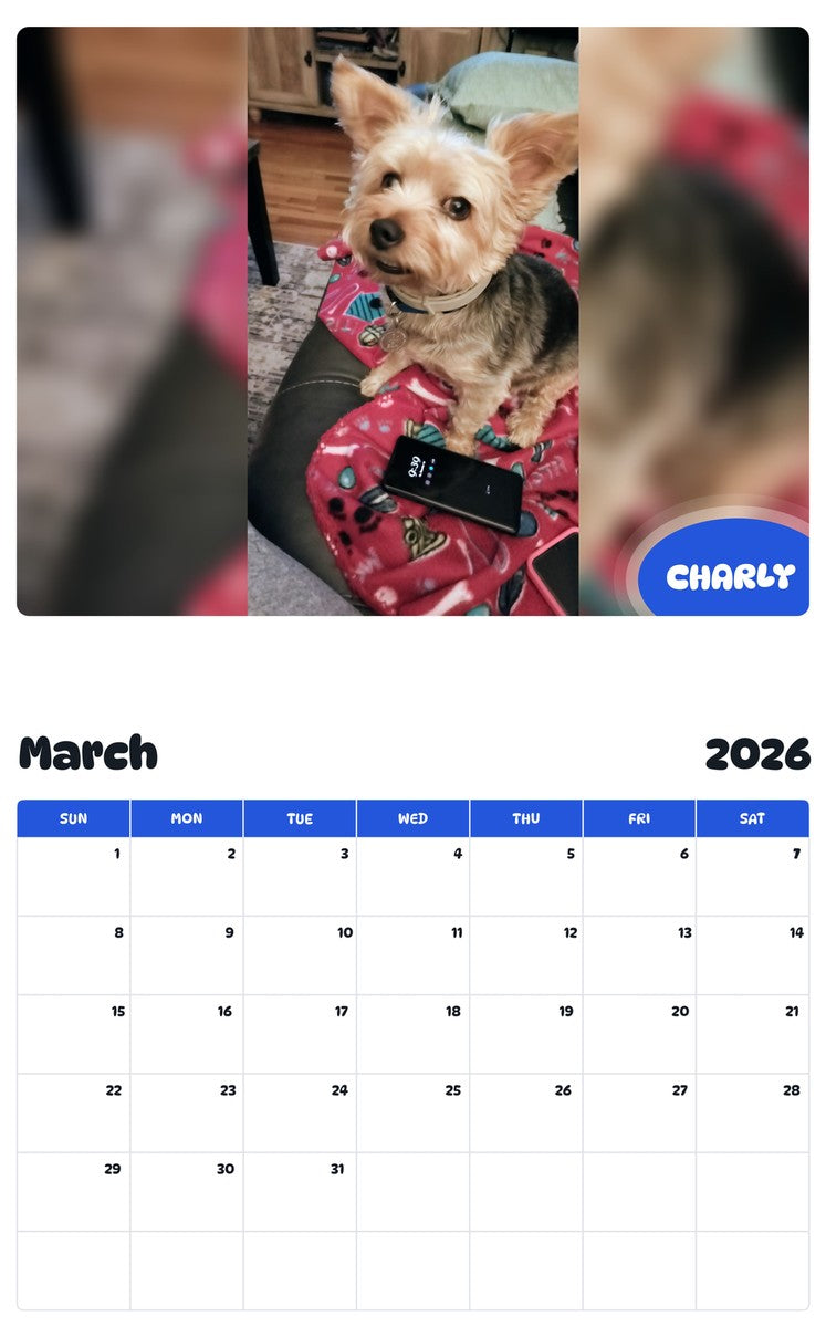 November 2025 - October 2026 CHARLY - Pawidols Pet Calendar