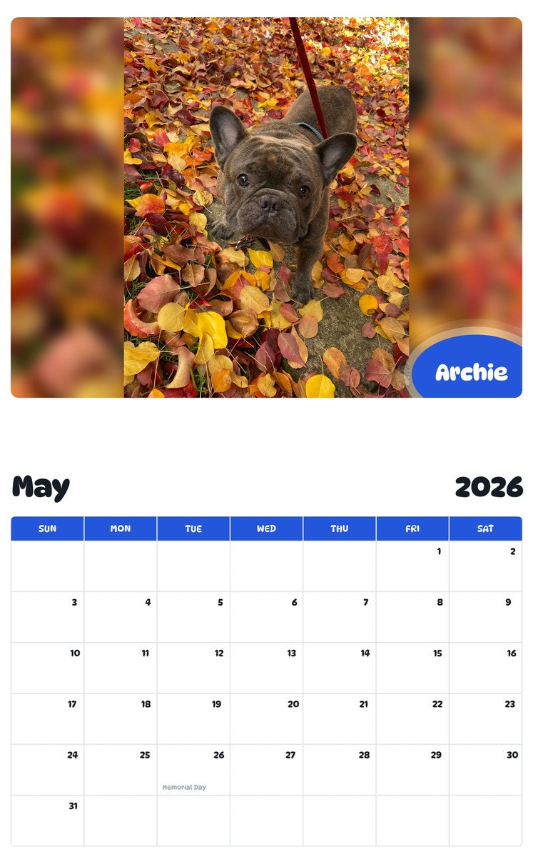 2026 - 2027 Archie - Pawidols Pet Calendar