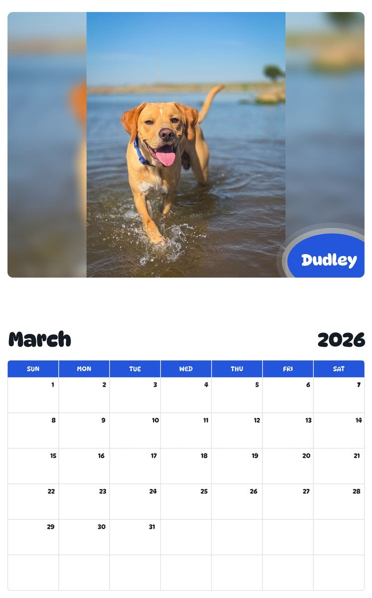 November 2025 - October 2026 Dudley - Pawidols Pet Calendar