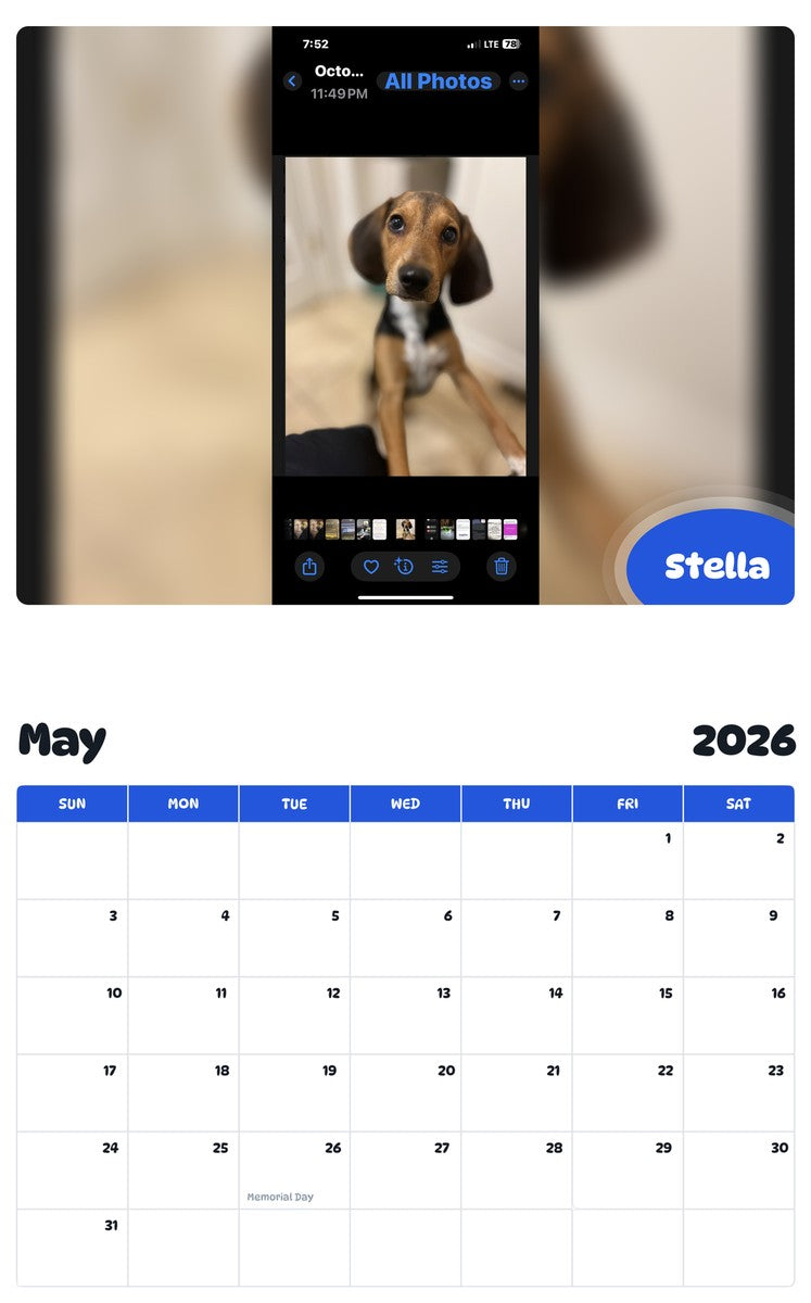 2026 - 2027 Stella - Pawidols Pet Calendar