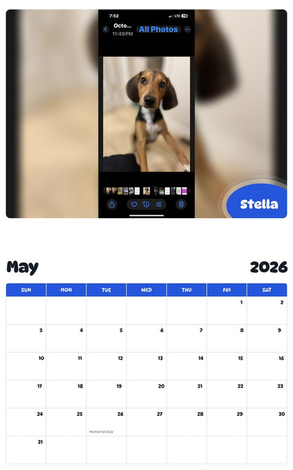 2026 - 2027 Stella - Pawidols Pet Calendar