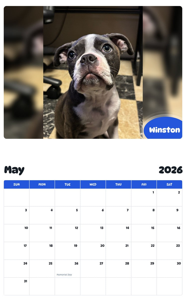 2026 - 2027 Winston - Pawidols Pet Calendar
