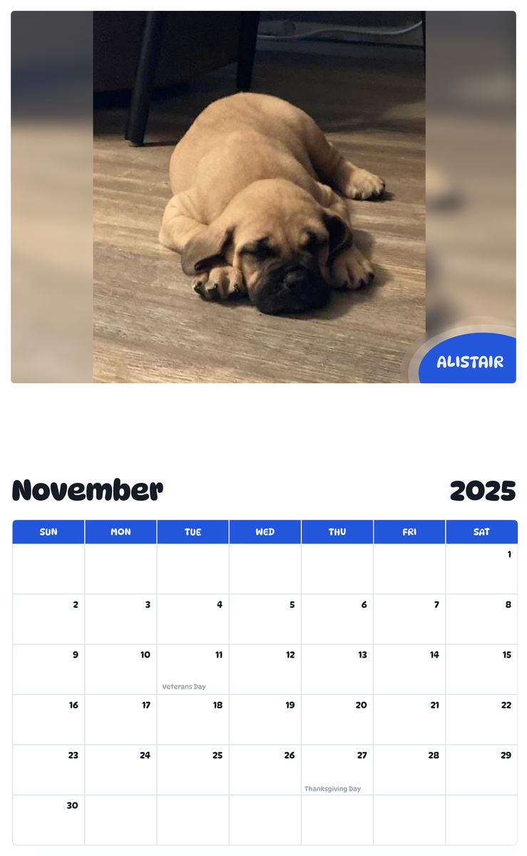 July 2025 - June 2026 Alistair - Pawidols Pet Calendar