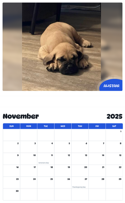 July 2025 - June 2026 Alistair - Pawidols Pet Calendar