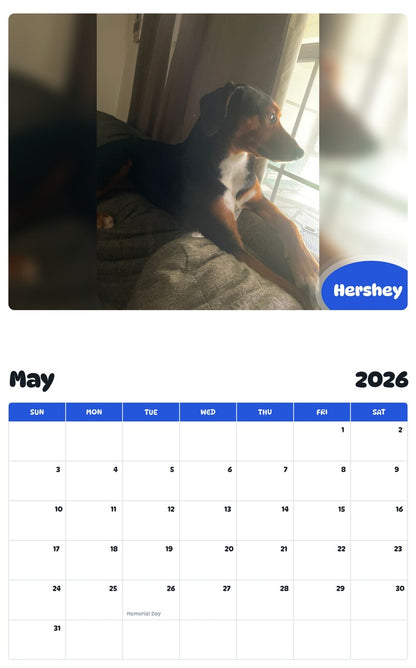 2026 - 2027 Hershey - Pawidols Pet Calendar