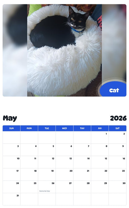2026 - 2027 Cat - Pawidols Pet Calendar