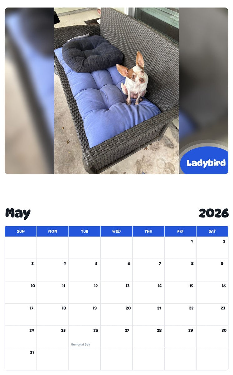 2026 - 2027 Ladybird - Pawidols Pet Calendar