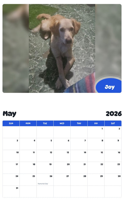2026 - 2027 Joy - Pawidols Pet Calendar