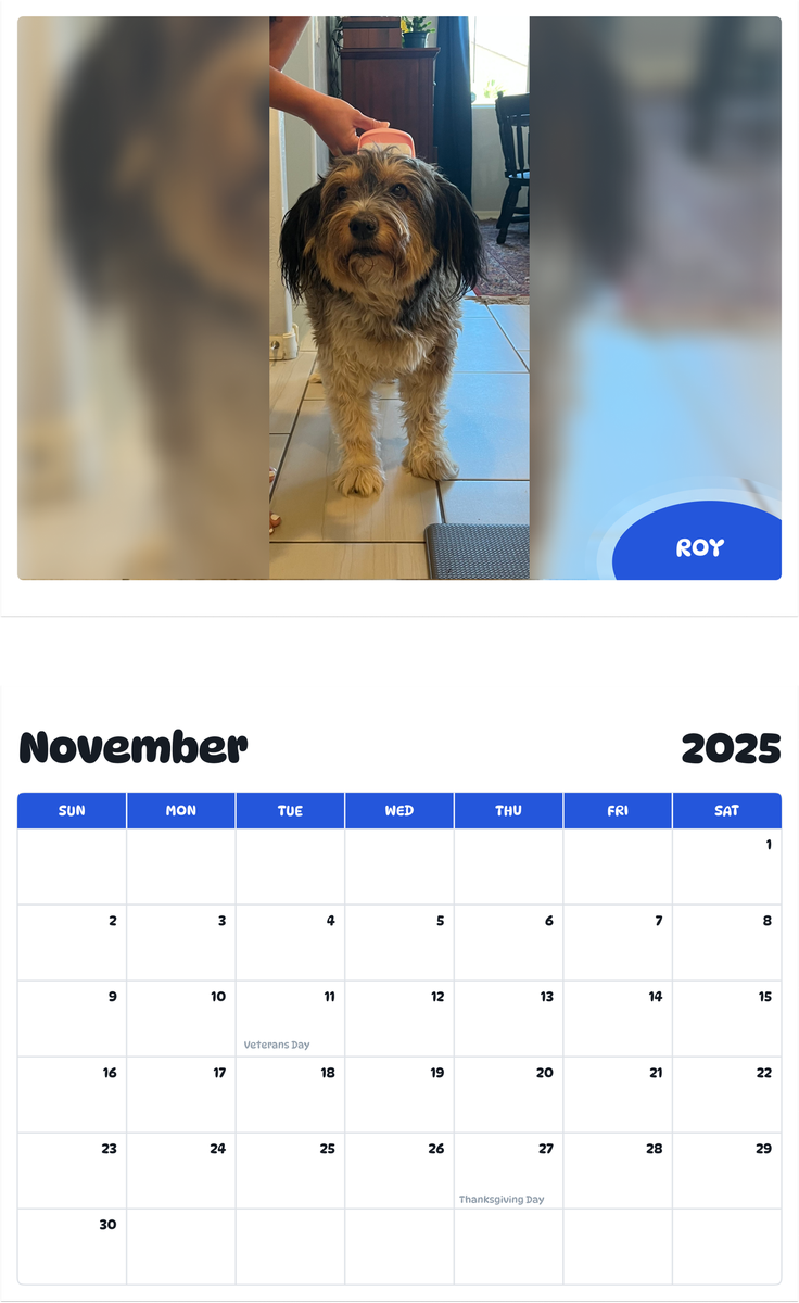 July 2025 - June 2026 Roy - Pawidols Pet Calendar