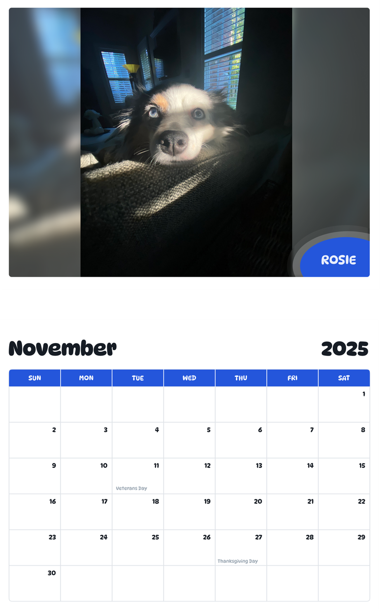 July 2025 - June 2026 Rosie - Pawidols Pet Calendar