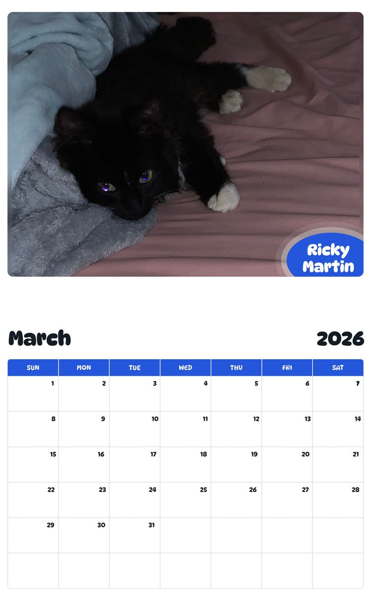 November 2025 - October 2026 Ricky Martin - Pawidols Pet Calendar
