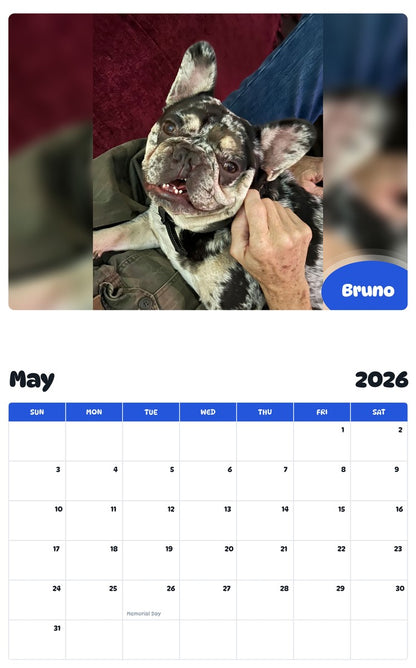 2026 - 2027 Bruno - Pawidols Pet Calendar