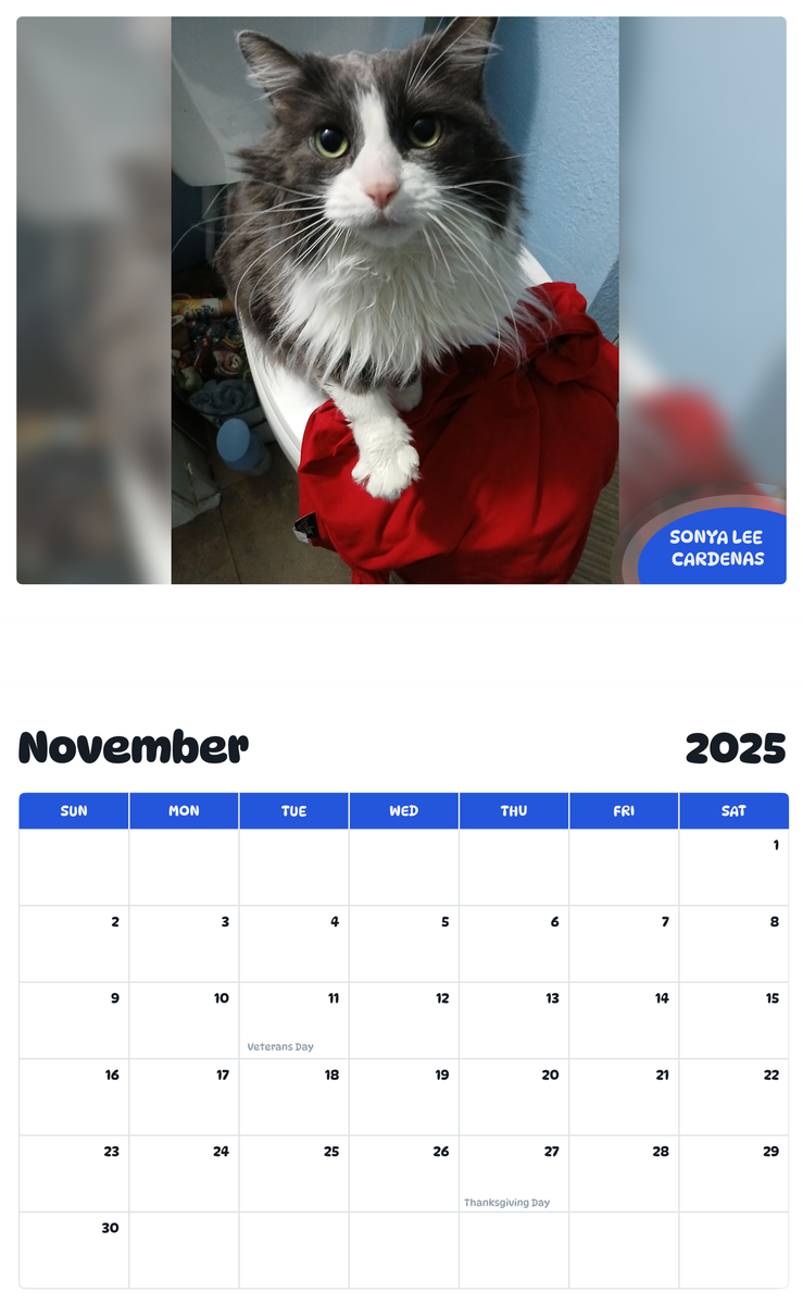 July 2025 - June 2026 Sonya Lee Cardenas - Pawidols Pet Calendar