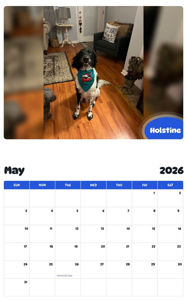 2026 - 2027 Holstine - Pawidols Pet Calendar