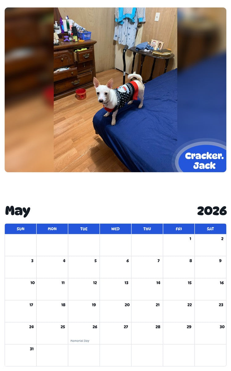 2026 - 2027 Cracker. Jack - Pawidols Pet Calendar