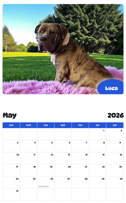 2026 - 2027 Luca - Pawidols Pet Calendar