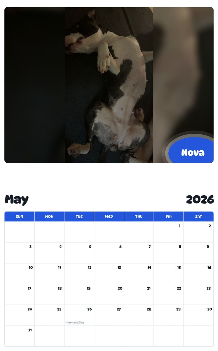 2026 - 2027 Nova - Pawidols Pet Calendar